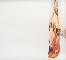 Meat Cut Spec Step 3